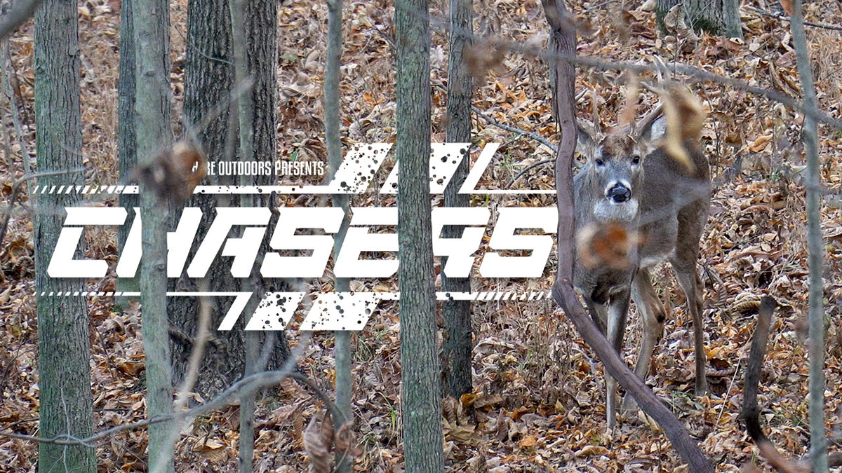 Deer in a forest with 'Chasers' logo overlay