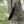 Knowhere Outdoors IronBuck Grunt Tube - Knowhere Outdoors